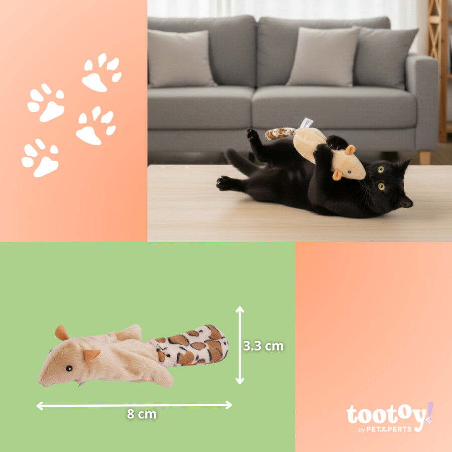 Tootoy! Interactive & Stimulate Brinquedo Esquilo interativo para gatos, , large Imagem n&uacute;mero 6